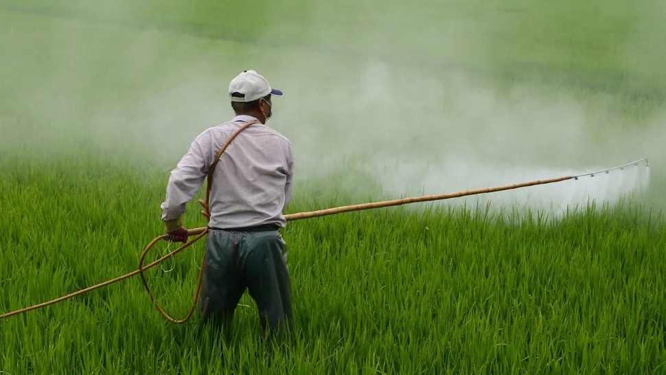 EUROSTAT: Vânzările de pesticide din UE au crescut cu 8% în 2024