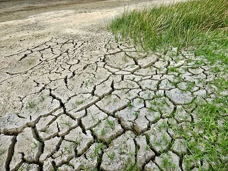 Suprafețele artificiale lipsesc într-o țară cu terenuri agricole lăsate pârloagă