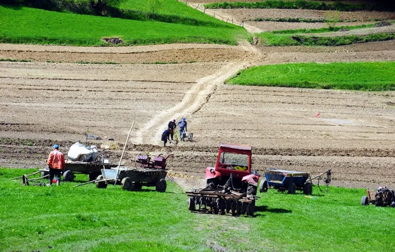 Agricultura a atras cele mai puține investiții în 2018, doar 5,9%