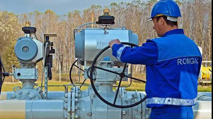 Statul ia tot profitul de la companiile energetice