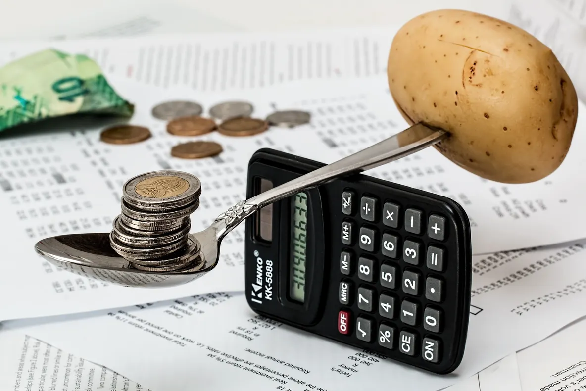Românii cheltuie lunar 35,2% pe mancare, din venit, iar pentru educație 0,4%