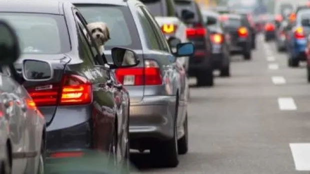 Veste bună pentru șoferi. Guvernul a aprobat banii pentru taxa auto