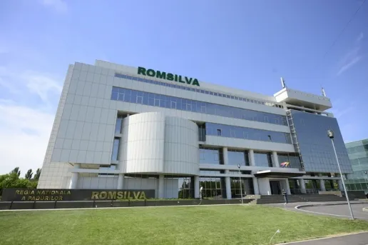 Romsilva are un nou director
