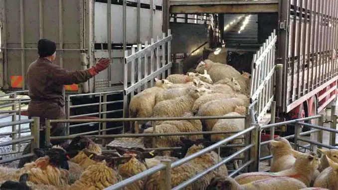 Sprijin suplimentat pentru crescătorii de animale și păsări
