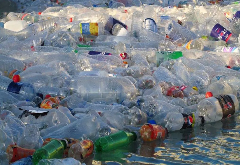 După 2 ani de amânări și tergiversări, Guvernul a adoptat azi ordonanța antiplastic