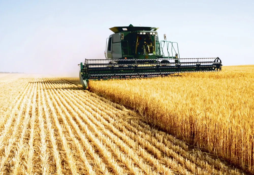 EXPORTURILE DE GRÂU MOALE ALE UE AU SCĂZUT CU 33% ÎN DEBUTUL ANULUI AGRICOL 2025/2026