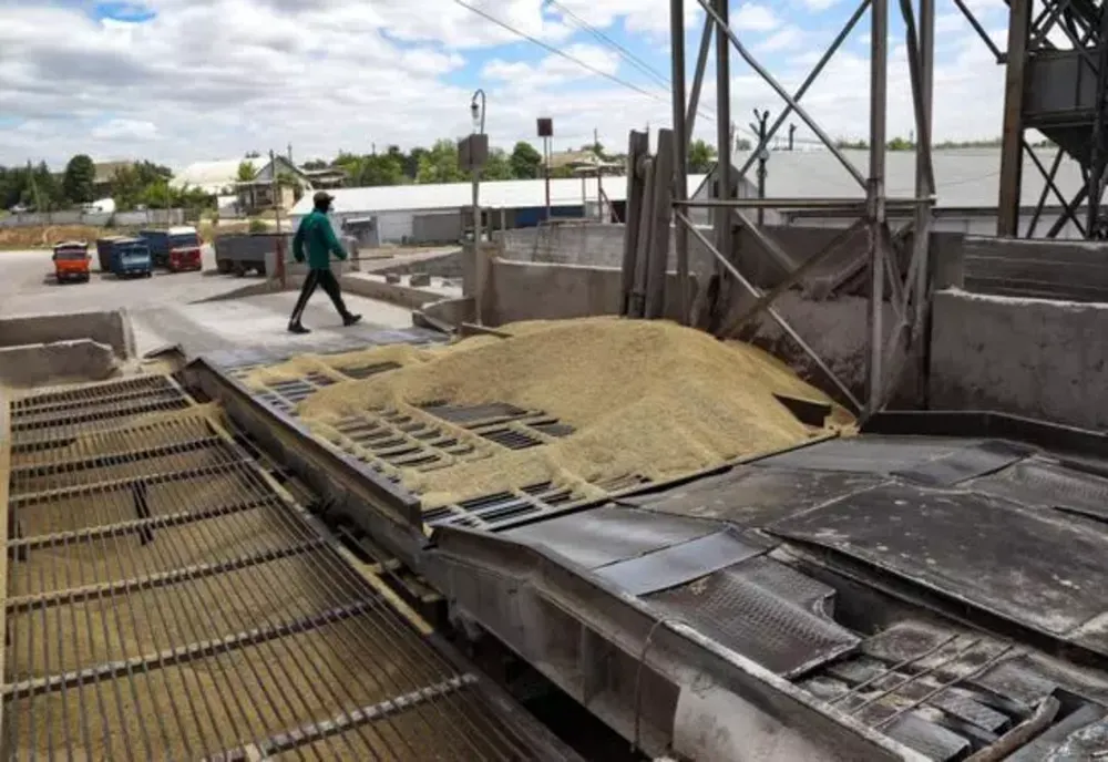 Alianţa pentru Agricultură şi Cooperare solicită Guvernului să interzică importul mai multor produse agroalimentare din Ucraina