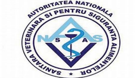 Nicio fermă afectată de pesta porcină africană; 24 de focare active în gospodării și la mistreți