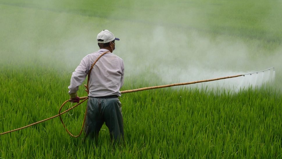EUROSTAT: Vânzările de pesticide din UE au crescut cu 8% în 2024