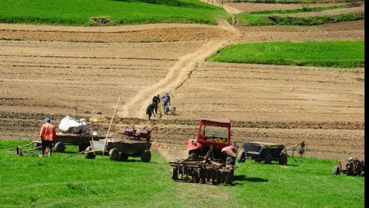 Producția agricolă: ploile ne-au menținut pe locul 8 în UE