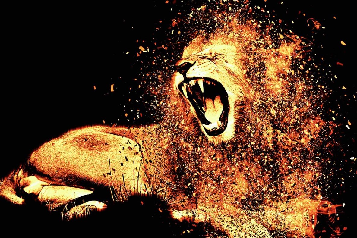 Leul, cea mai puternică paritate față de euro, de după 6 august