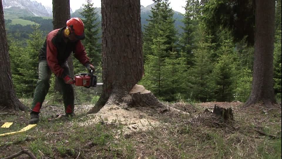 Cea mai periculoasă meserie din România în 2018