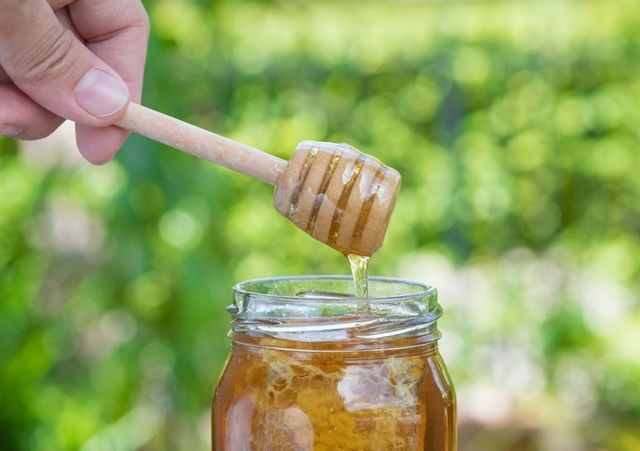 Apicultorii critică importul masiv de miere din Ucraina: „Îi salvăm pe ei, ne distrugem noi!”