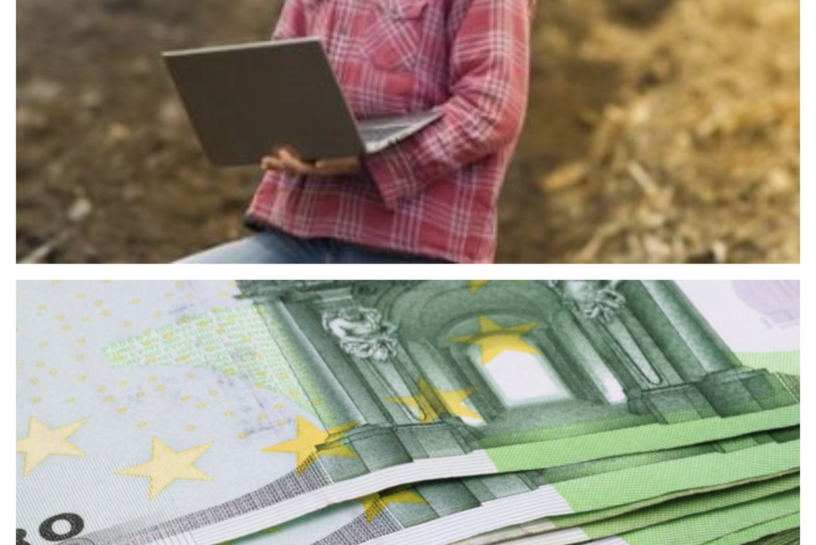 Premieră în România: tinerii primesc terenuri ca să facă agricultură