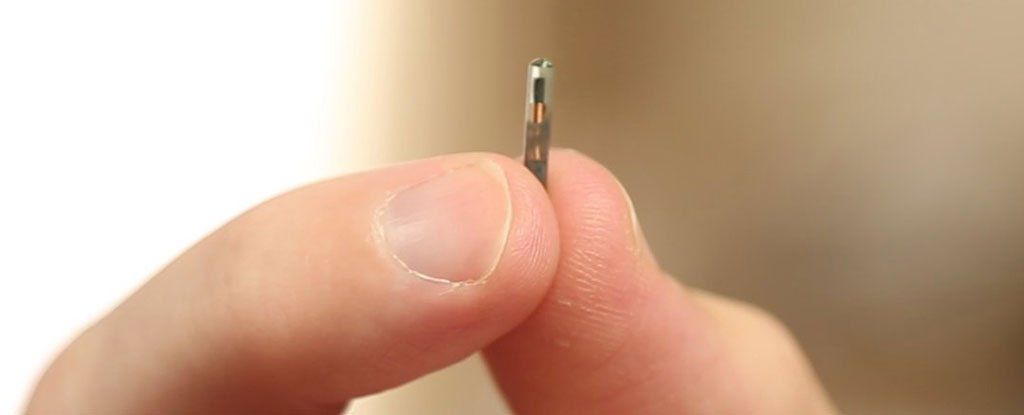 Tensiuni China - SUA. Escaladarea situației poate provoca un DEZASTRU pe piața semiconductorilor