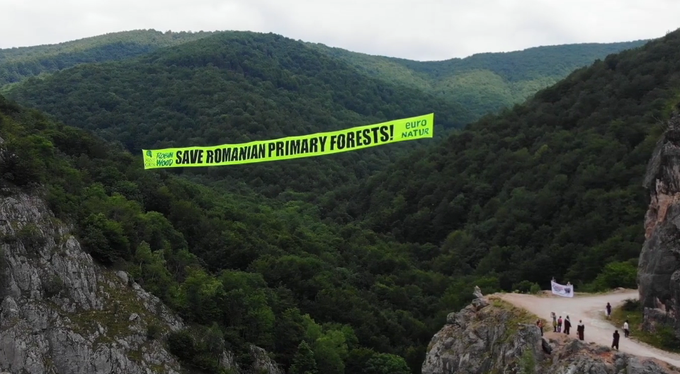 Raport: Critici pentru administrarea pădurilor aflate în Patrimoniul Mondial, România riscă un conflict diplomatic