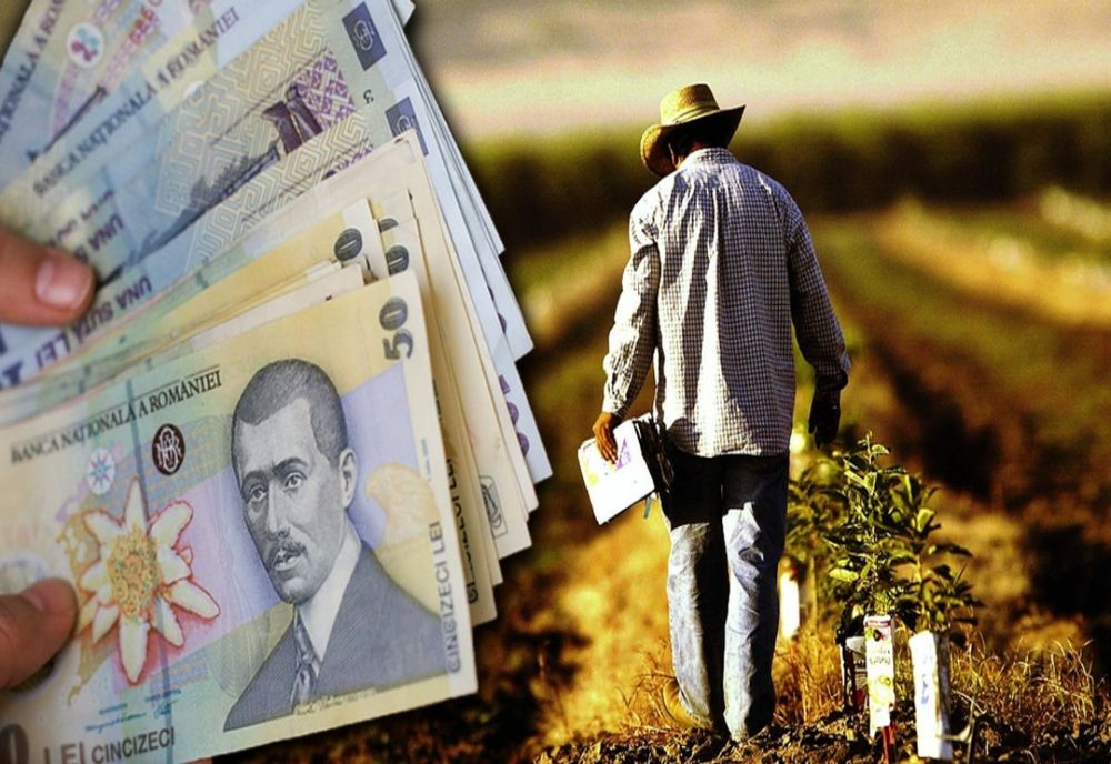 Agricultorii care așteaptă subvenția încă n-au primit banii. Statul nu a comunicat nici până acum cuantumul