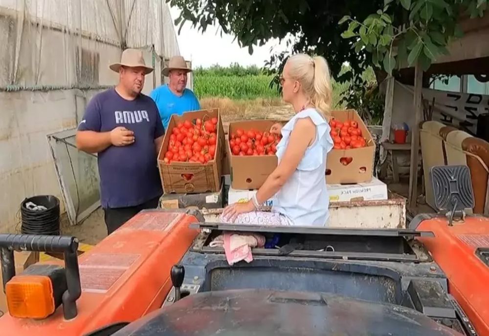 România văzută din tractor. Producătorii cinstiți sunt dați la o parte de importuri