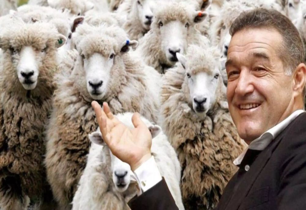 Perlele industriei românești, falimentate de ciobanul Becali: imperiu de milioane construit pe durerea românilor - VIDEO