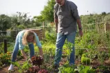 UE propune un ajutor de 540 de milioane de euro pentru fermierii afectați de criza îngrășămintelor