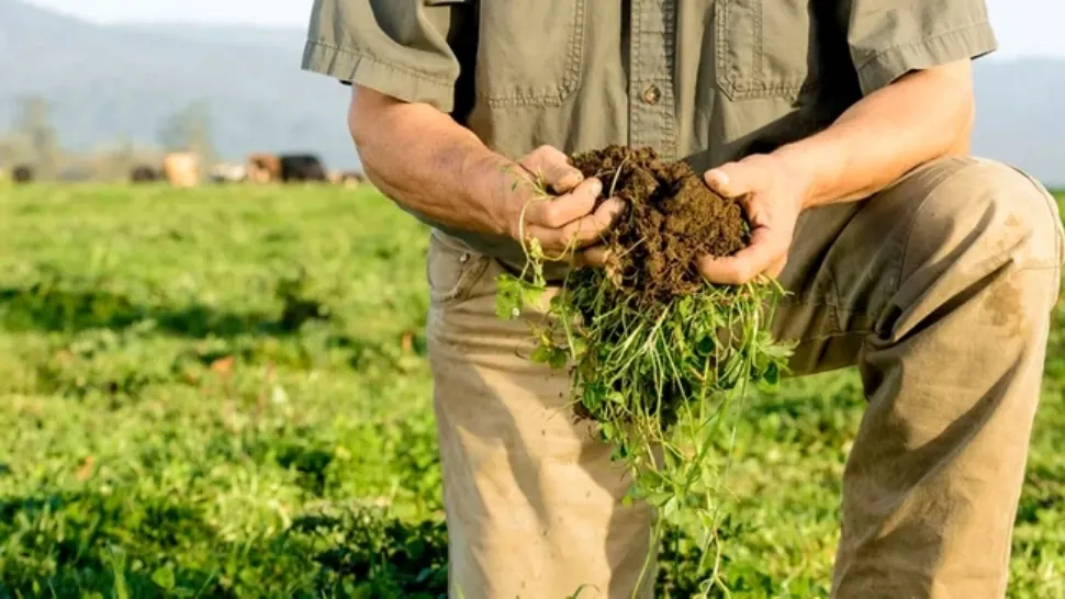 Agricultorii și fermierii au ajuns la capătul puterilor