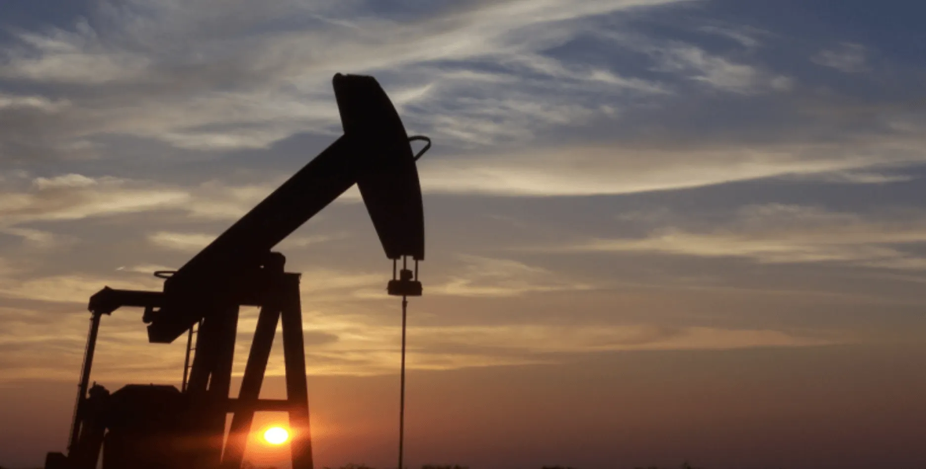 Oil
