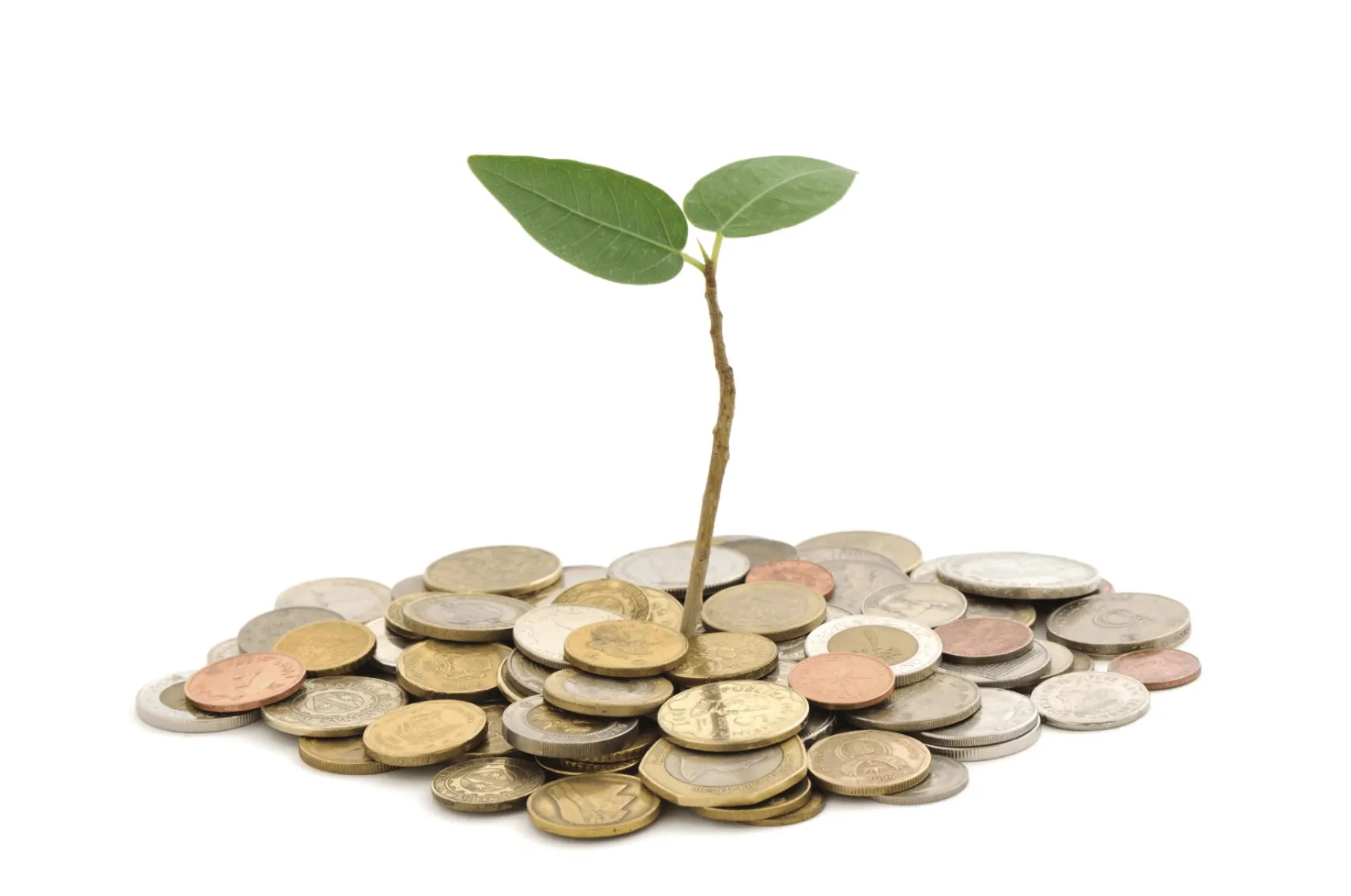 Venture Capital 27 Iunie 2018