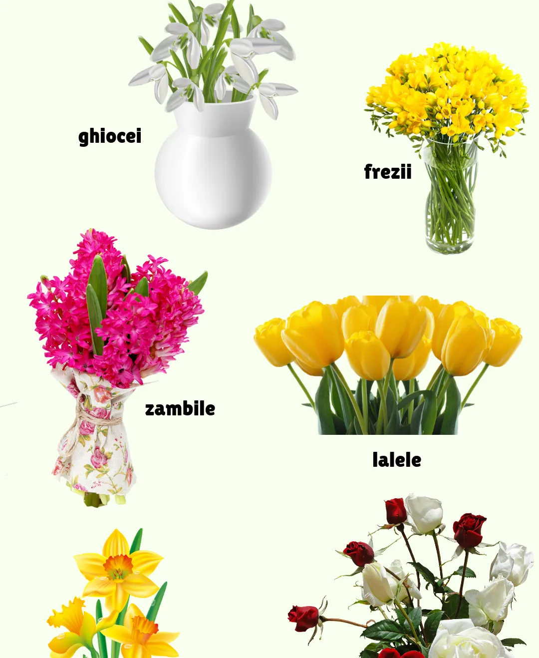 FLORILE PREFERATE DE ROMÂNI