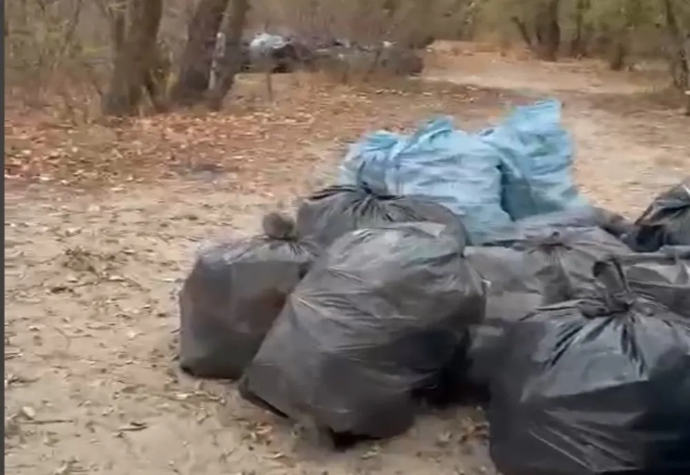 CONSILIUL LOCAL SECTOR 2 APROBĂ MAJORAREA TARIFELOR PENTRU SALUBRIZARE ȘI REABILITAREA PARCURILOR PLUMBUITA