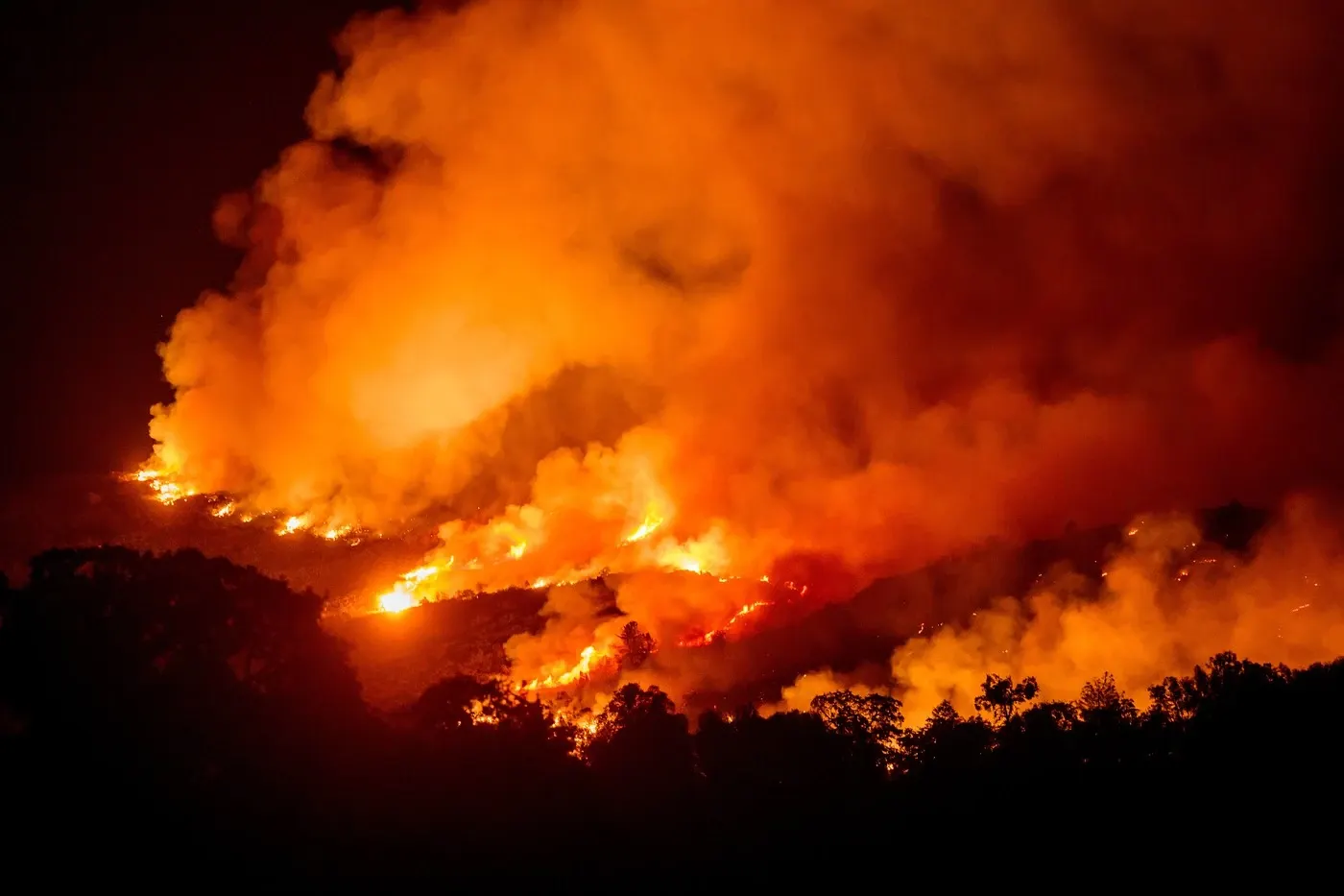 Incendii devastatoare in California (Profimedia)