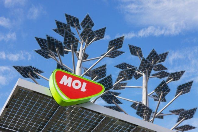 mol-signjp