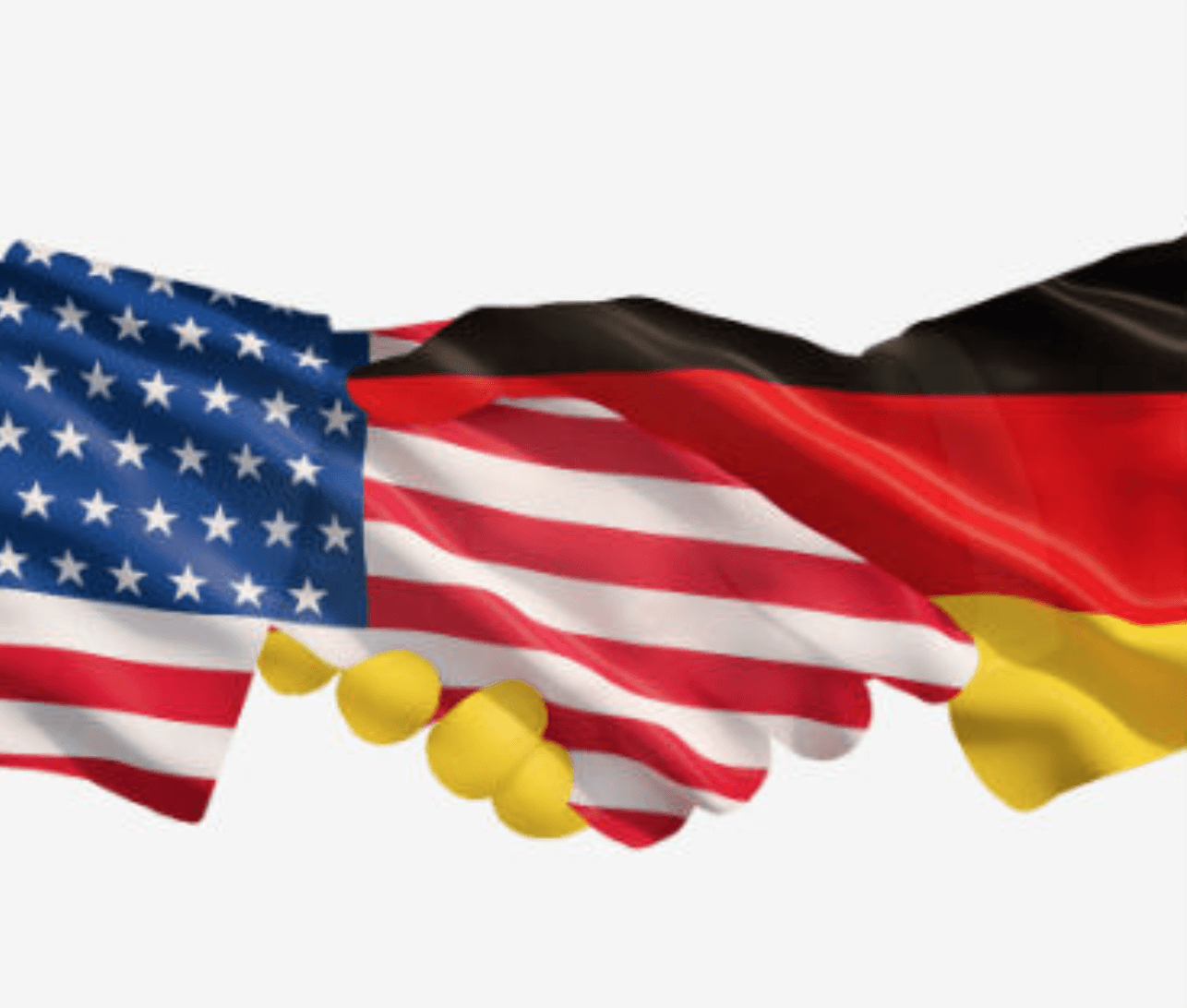 Survey 28 August 2018