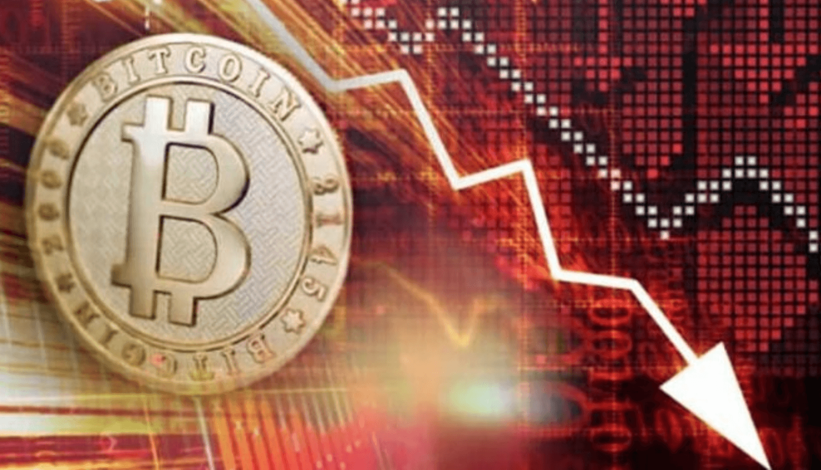 BTC 19 Noiembrie 2018