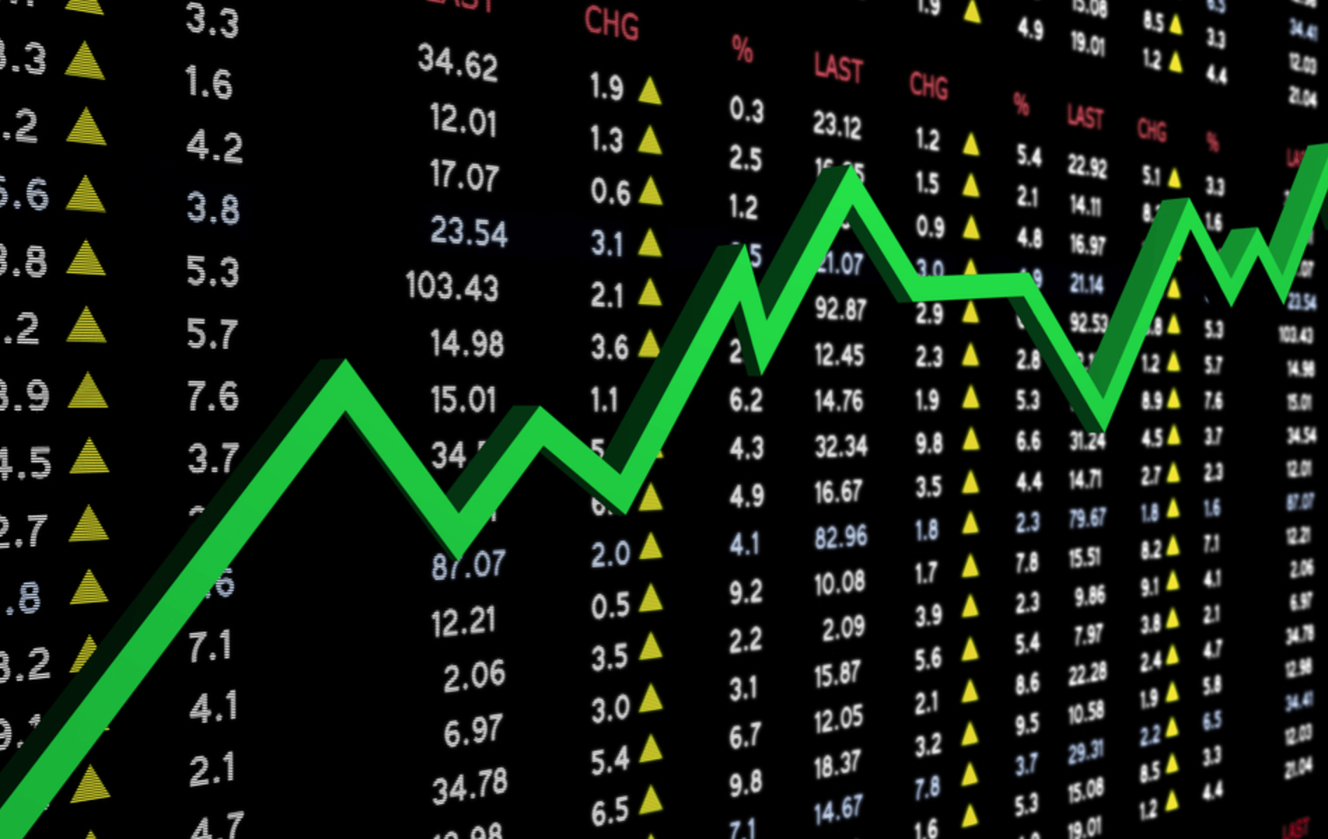 BVB 23 Noiembrie 2018