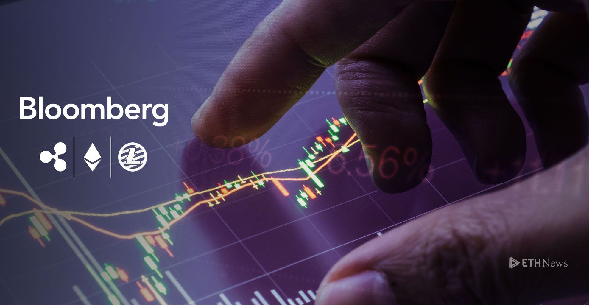 bloomberg