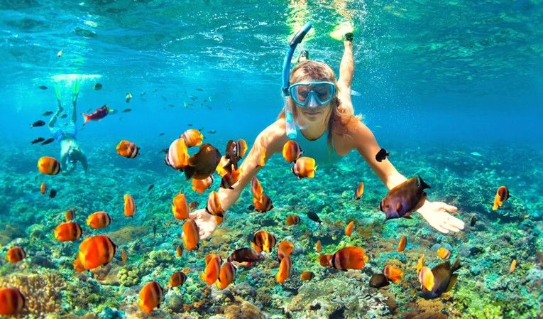 snorkeling22_7ed5a_lg