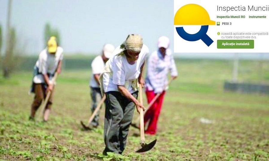 zilieri inspectia muncii