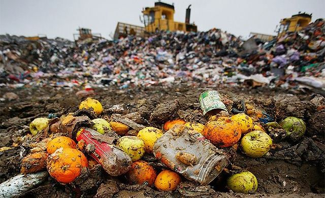 risipa alimentara sursa foto Green Report