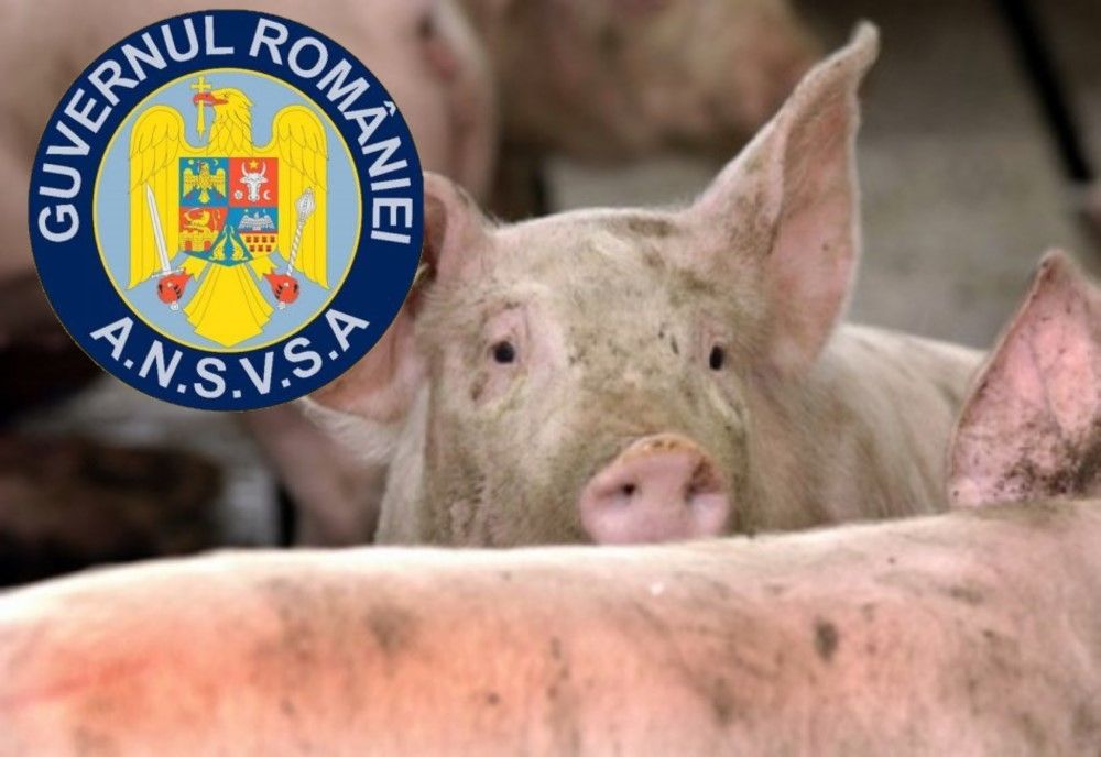 Controale ANSVSA specifice sărbătorilor de Crăciun