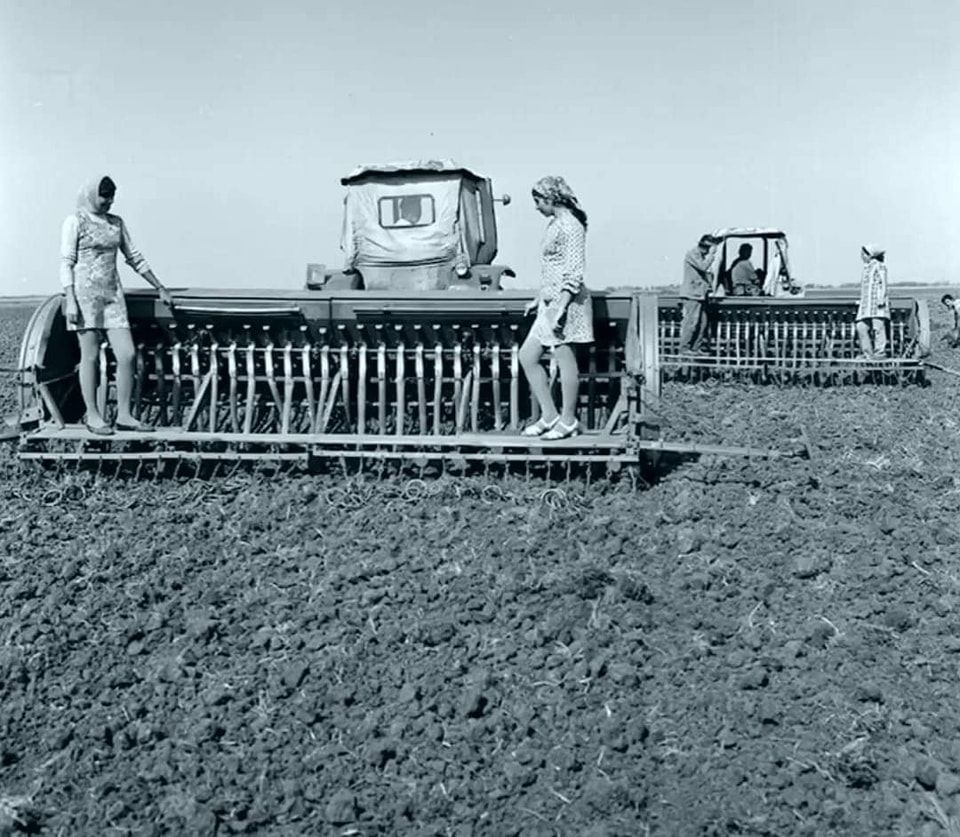 433916851_750755440482759_1055029469216690202_n