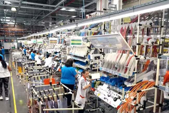 2161303WhatsAppImage20251103at111438AM