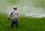 EUROSTAT: Vânzările de pesticide din UE au crescut cu 8% în 2024
