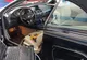 BMW, obligată să recheme 300.000 de mașini în service, după un accident mortal