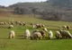 Programul de Dezvoltare Rurală mai are 759 milioane de euro necheltuiți
