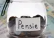 Românii, codașii Uniunii Europene la contribuția pentru pensii. 1,5 milioane lucrează la negru