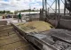 Alianţa pentru Agricultură şi Cooperare solicită Guvernului să interzică importul mai multor produse agroalimentare din Ucraina