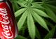 Coca Cola cu cannabis, proiect al îmbuteliatorului de soft drink