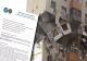 RAPORTUL INSPECTORATULUI DE STAT ÎN CONSTRUCȚII ÎN CAZUL BLOCULUI DIN RAHOVA AFECTAT DE EXPLOZIE - DOCUMENT 